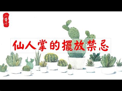 仙人掌放後陽台|後陽台仙人掌擺放技巧